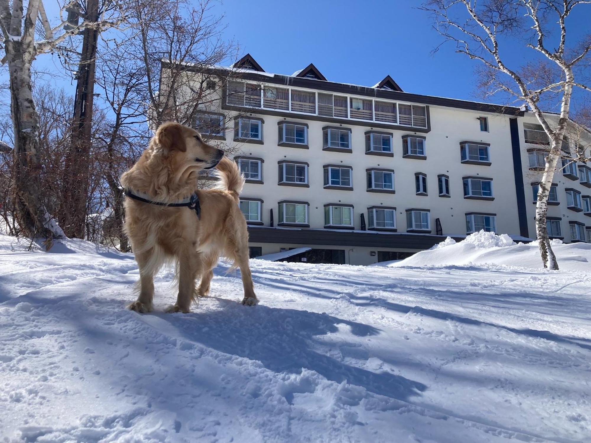 Shiga Lake Hotel Yamanouchi  Ngoại thất bức ảnh